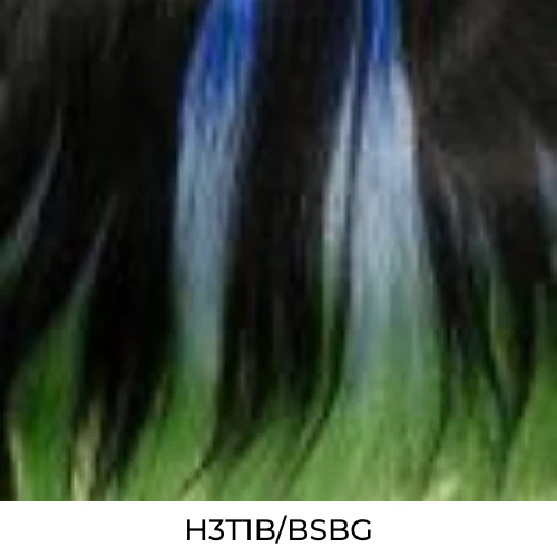 MBLF180 Dayana Human Hair Blend Lace Front Wig by Bobbi Boss - Image 9